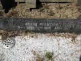 image of grave number 911776